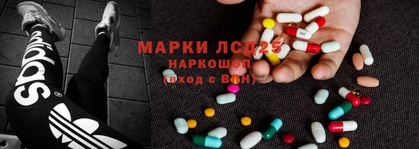 сатива Нефтекумск