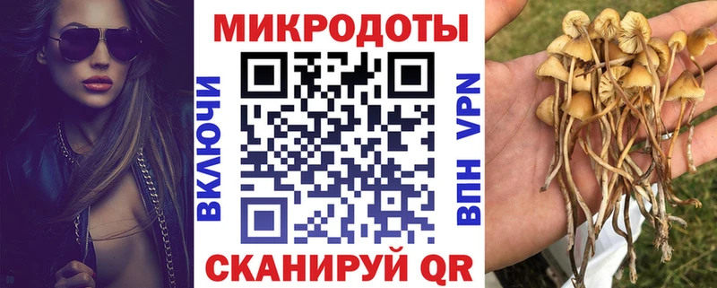 Псилоцибиновые грибы прущие грибы  Плавск 