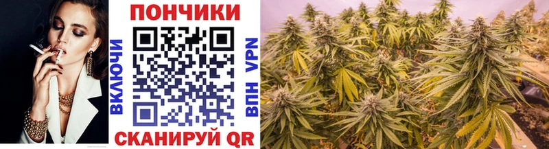 Каннабис AK-47  как найти   Плавск 